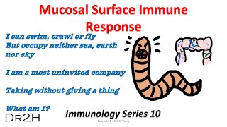 Dr Hongs Immunology Lecture 10 Mucosal Surface Immune Response [upl. by Annod]