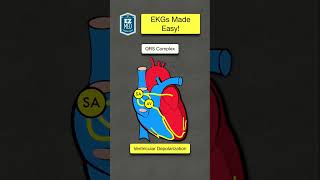 EKG Interpretation in UNDER 1 MINUTE ECG Basic Waveform  Nursing Made Easy [upl. by Juan]