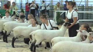 My Ontario  Lindsay Agricultural Fair [upl. by Grey952]