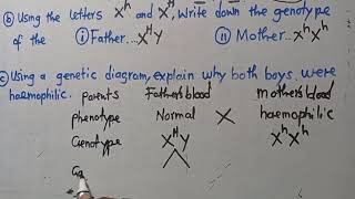 Genetics  Haemophilia Exam Question  Harrison J Zulu Tutor [upl. by Retswerb]