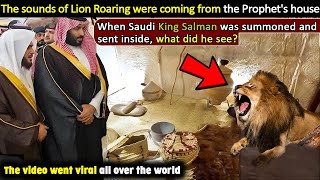 Mysterious Lion Roars Heard from Prophet Muhammads PBUH House [upl. by Mendelsohn120]