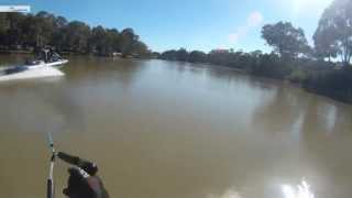 Wake boarding and knee boarding at Renmark [upl. by Aramoy21]