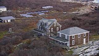 Appledore Island Live [upl. by Gen]