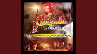 Belleza De Cantina En Directo [upl. by Anilrahc136]