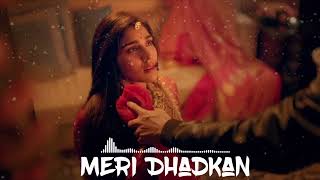 Meri Dhadkan  Hindi Heart Touching Songs 2024  Mind relax song  Latest Hindi Song 2024 romantic [upl. by Auhsuoj]