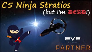 EVE Online  Stratios C5 Ninja  but Im dead now [upl. by Nevear698]