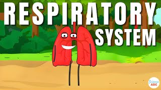 Respiratory System From Inspiration to Expiration Explained in Simple Words [upl. by Hamitaf]