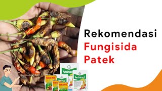 3 Merk Fungisida PatekAntraknosa Harga 100 Ribuan [upl. by Etana135]