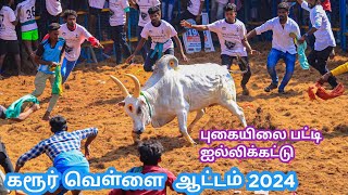 கரூர் வெள்ளை புகளைப்பட்டி 2024 karur vellai [upl. by Annuahsal]