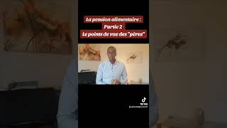 La PENSION ALIMENTAIRE  Partie 2  Le point de vue des pères [upl. by Lovmilla]