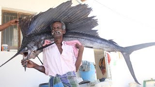 BIG KOLA FISH Prepared by my Daddy  Village food factory [upl. by Mosora]