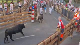 Quinto Encierrro de las Fiestas de Tudela 2024 [upl. by Nilreb789]