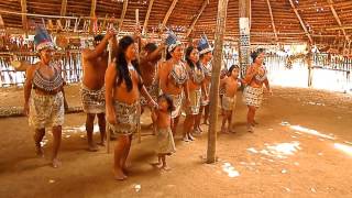 COMUNIDAD TRIBU DE LOS BORAS  IQUITOS  RÍO AMAZONAS [upl. by Akeme]