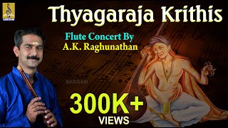 Thyagaraja Krithis  Classical Instrumental  Flute concert by AKRaghunathan [upl. by Thera]