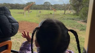 Explore Werribee Zoo with Crystal [upl. by Hanshaw]