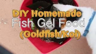 DIY Homemade Fish Gel Food Goldfish Koi [upl. by Towill]