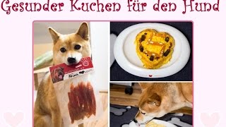 Happy Birthday Akina  Wir backen für Hund amp Katz [upl. by Gwennie697]