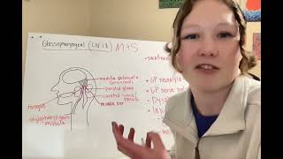 Cranial Nerve Media Assignment Glossopharyngeal Nerve [upl. by Donni]