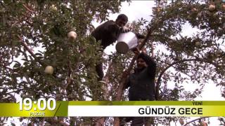 Gündüz Gece  08 Aralık 2013 Pazar [upl. by Derreg973]