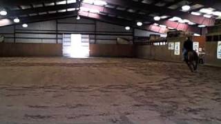 Highwind Farm Horse Reining Clinic w Dutch Chapman [upl. by Tnilk]