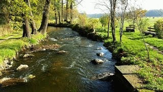 Bachgeflüster  Sounds of Nature  Lausche dem leisen Geplätscher eines Baches  Naturgeräusche [upl. by Nwahsauq282]