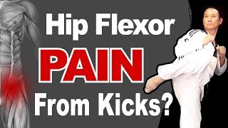 Hip Flexor Strain  Pain from your Kick Learn How to Prevent Kicking Injury  Reduce Hip Back Pain [upl. by Eph631]