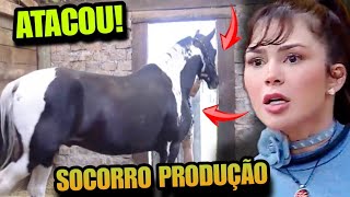 A FAZENDA 2023 NADJA É ATACADA COM MORDIDAS POR CAVALO COLORADO E CAUSA PUNIÇÃO GRAVE [upl. by Arriaet37]