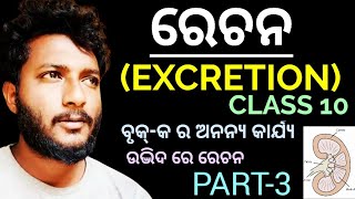 ରେଚନ EXCRETION class 10 life science chapter4 in odia  ଉଦ୍ଭିଦ ରେ ରେଚନ  Part3 [upl. by Aeriela]