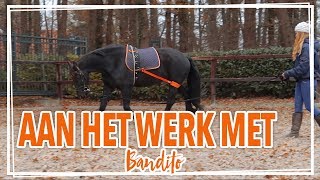 Bandito longeren met een nieuw hulpmiddel  BBLastic [upl. by Eiboj]