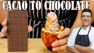 Making Chocolate from Fresh Cacao Pods  And This What Happened [upl. by Sharon]