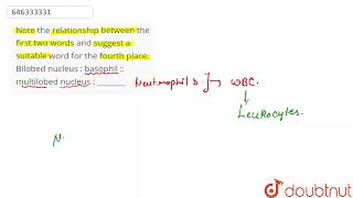 Note the relationship between the first two words and suggest a suitable word for the fourth pla [upl. by Emor386]