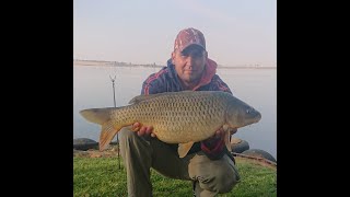 Fish at Bronkhorstspruit dam and river [upl. by Alyos]