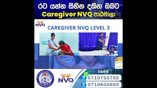 Caregiver NVQ Level 34 Courses [upl. by Sera231]