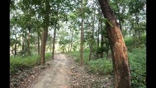 Riding thru the jungles of north India in corbett tiger reserve [upl. by Inkster]