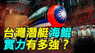 海鯤號：台灣國產潛艦的戰鬥力究竟如何？ 探索時分 [upl. by Ilegna809]