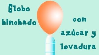 Inflar un globo con azúcar y levadura Ciencia para niños [upl. by Brandon]