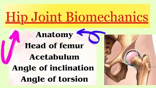 Hip Joint Biomechanics introduction with notes in detail [upl. by Aicineohp756]