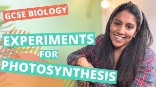 Required Practical for Photosynthesis  GCSE  IGCSE Biology [upl. by Erastus]