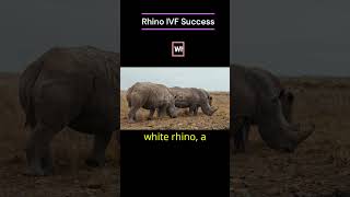 Mindblowing new discoveries facts rhino browndwarf spaceknowledge biologyfact [upl. by Arrais]