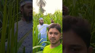 Somadhan Chao Jodi Jibone Morone  সমাধান চাও যদি জীবনে মরনে  Islamic Song  naturephotography [upl. by Yenahc]