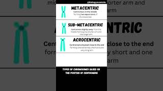 Types of Chromosomes [upl. by Weber404]