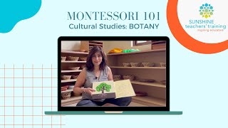 Montessori 101  Botany [upl. by Faythe]