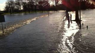 Hoogwater Met evacuatie vrachtwagen Borgharen in [upl. by Ediva]