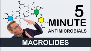 Macrolides  5 Minute Antimicrobials [upl. by Khorma745]