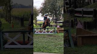 SGW Ysselsteyn 2024 in 1 minuut 🐎 SGW SGWYsselsteyn Ysselsteyn Cross CrossCountry Eventing [upl. by Odnomyar280]