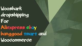 Woocommerce dropshipping Aliexpress  Bigbuy  Banggood  Ebay  Tmart [upl. by Valli]