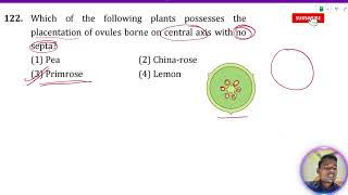 Which of the following plants posses the placentation of ovules borne on central axis with no septa [upl. by Herzog231]