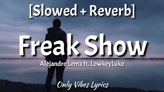 Alejandro Lema  Freak Show Slowed  Reverb Lyrics ft LowkeyLuke [upl. by Nagiem244]