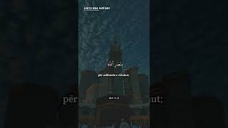 Saad Al Ghamdi  Surah Rum  4  6 [upl. by Jaffe]