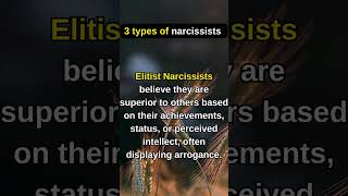 3 types of narcissists [upl. by Reffotsirk985]